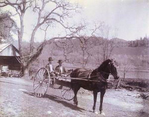 A two wheel wagon, horse drawn