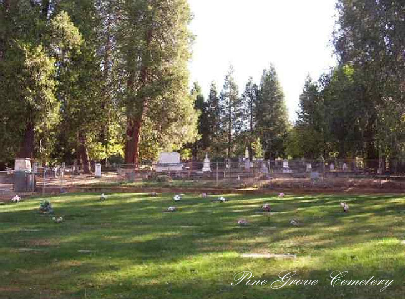 California grove honda pine #4