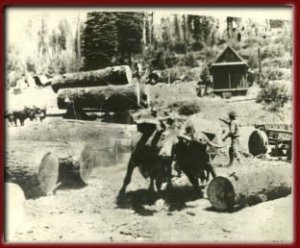 This is the way logging was done in the old days.