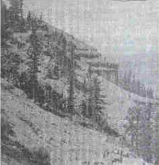 sierra15
