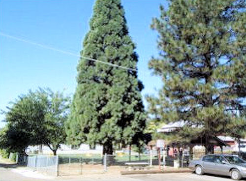 Pine Grove Park