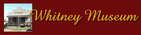whitneymusumheader600