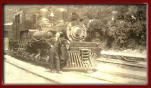 Pats train