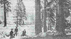 sierra4