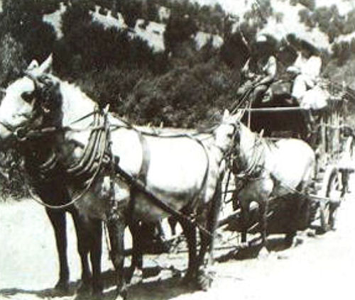 Lindley & Co